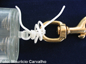 Dicano10