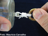 Dicano16
