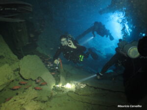 Dunraven041
