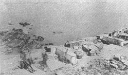 FForteGragoata