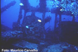 FNSPirapama3 1