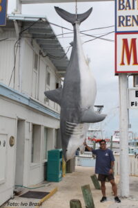 Florida 12 1