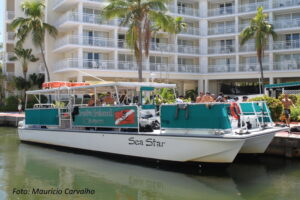 Florida 13 1