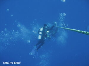 Florida boia2
