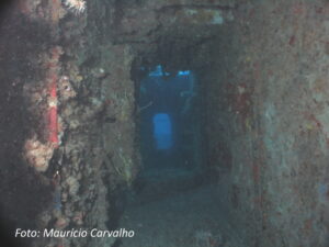 FloridaSpiegel20