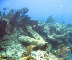 Floridacity04 1