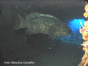 Floridaduane13