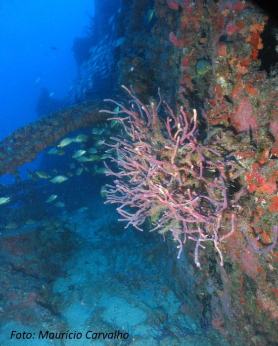 Floridaduane27