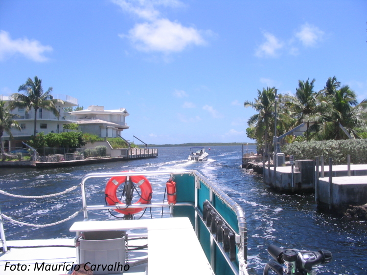 Floridaspiegelgrove06 1