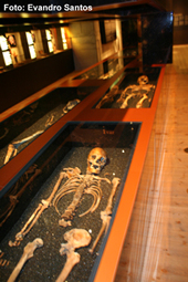 Fotovasa344