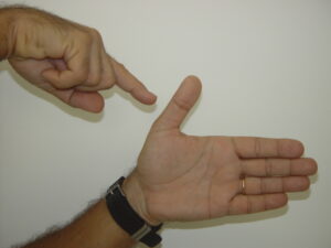 Fsinal mastro