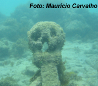 Fsmaracajau