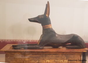 Marvermelhoanubis