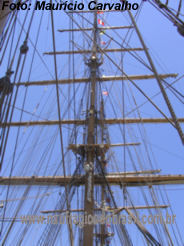 NHCisne6