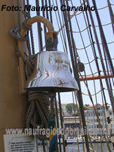 NHCisne8 1