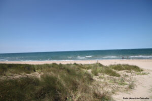 Navhistbelfast Juno beach 035b 1
