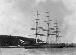 Navhistcutty 3