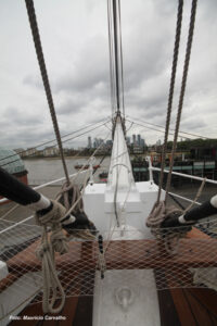 Navhistcutty 7503b