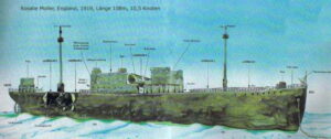 Rosalienavio