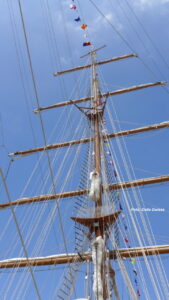 Sagres 1020478