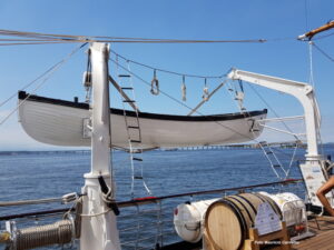 Sagres 135239b 1