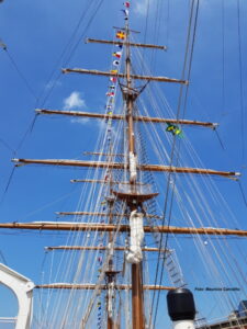 Sagres 135830b 1