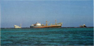 Seastarkimonm
