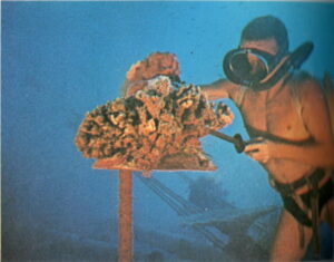 Thistlegorm Cousteau 3