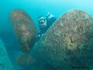 Thistlelgorn 093b