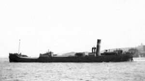 Tutoia2