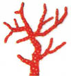 coral