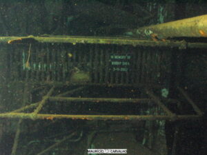 hilmahooker13