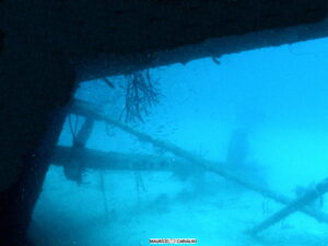 hilmahooker7