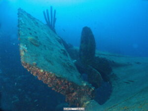 hilmahooker8