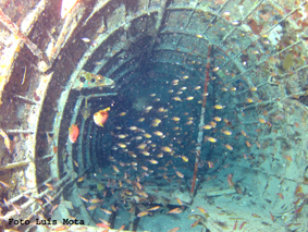 Bettybomber3996