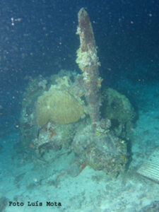 Bettybomber4021