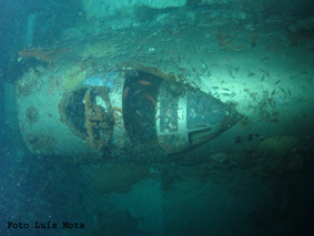Bettybomber4063