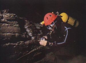 FGrutEcos3