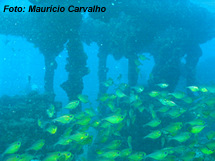 FSPirapama0707