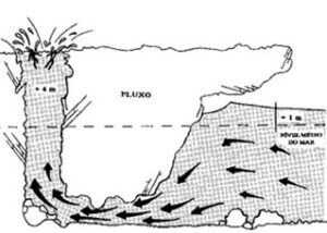 Fgrutmar1