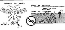 Fig4coraisb
