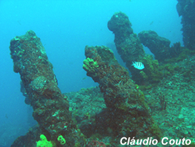 Fsbatenteagulhas 1