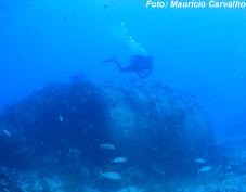 Fssaoluiz0824