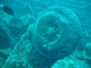 Thistlegorm 008