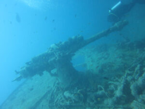 Thistlegorm 0155