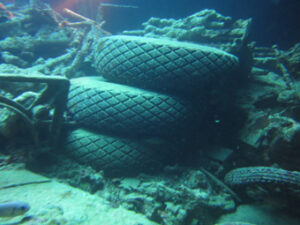 Thistlegorm 0177