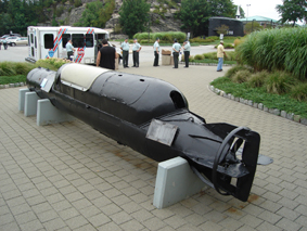 U853maiali