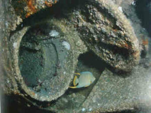 matsubmarino07