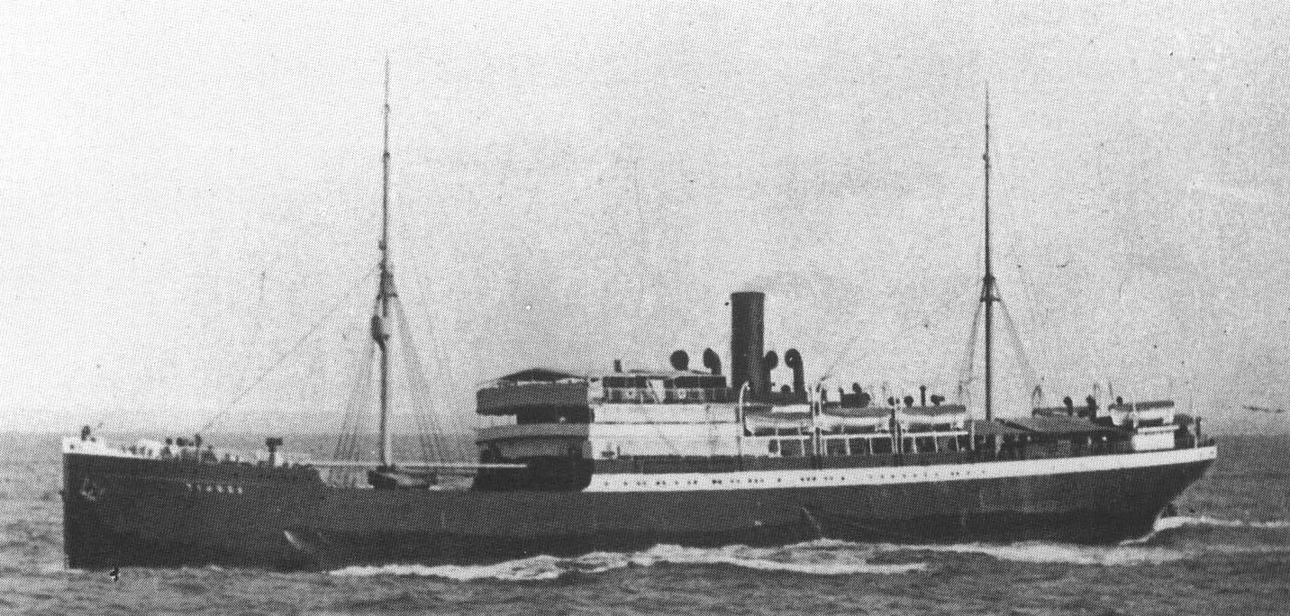 Baependy tijuca