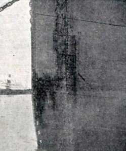 Guarany borborema danos